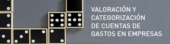 Valoración y categorización de cuentas de gastos en empresas Ebook - Valoración y categorización de cuentas de gastos en empresas