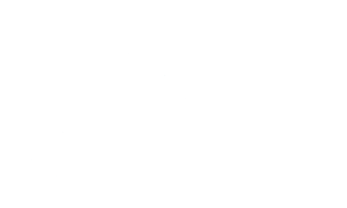 Linasa_500x300